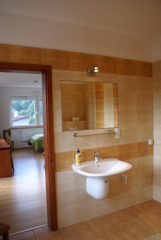 Willa Moja Gawra Lądek-Zdrój Kamer foto