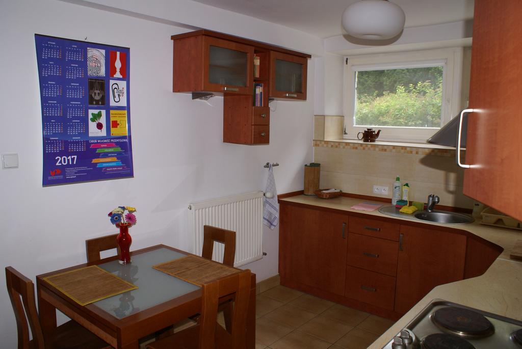 Willa Moja Gawra Lądek-Zdrój Kamer foto